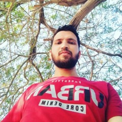 the_mojteb