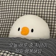 Dae_young🐻