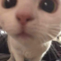 بـيلي