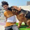 Mohamad Farsi