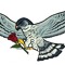 ReGent/EturnAll/HawksHigh/SparchsFlame/Kindling