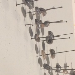 Zz gr