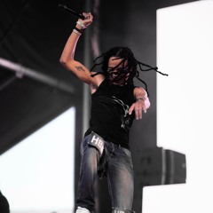 snakeatetrunkss