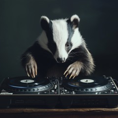 Dj Badger