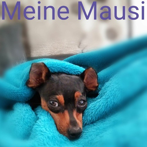 Stream Koppe.D. Listen to zate diese Liebe ist endlos playlist online