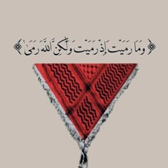 amr nagy