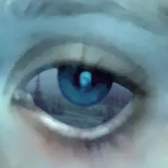 Rose_Im_Blut