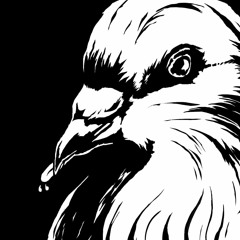 pigeon.flac