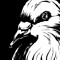 pigeon.flac