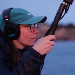 Sarah Antonelli