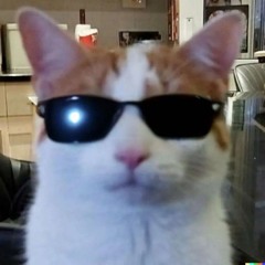 sillybilly