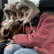 Alise & Milena