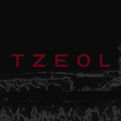 TZEOL