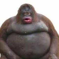 grum pickle