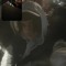 alex_gc9407