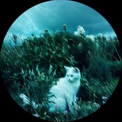 NG Ngọc Đức🫩🫩