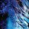 Exns_fusion