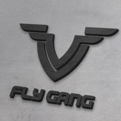 FLYGANG BEATS
