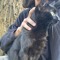 lvcats #iphonewoutiCloud