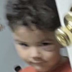 PyRo 0117