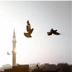 سأمضي والثبات يشد أزري