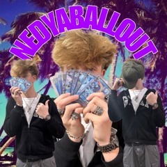 NEDYABALLOUT