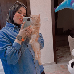 Ola Ghonim