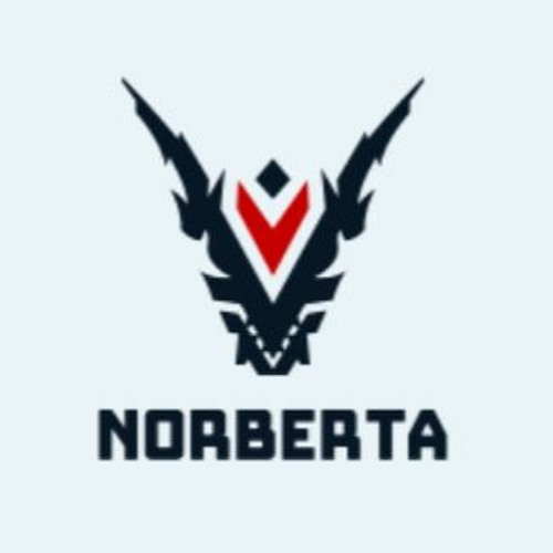 NORBERTA REPOST (ARTISTS SUPPORT)’s avatar