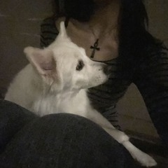 molly