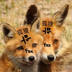 Temmy Gæ
