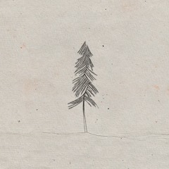 Pine