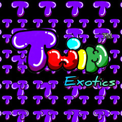 Twin Exotics