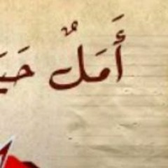 اشرف محمود