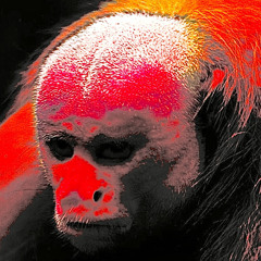 practicemakesperfect