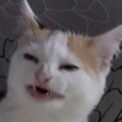Jd