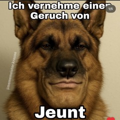 naitz
