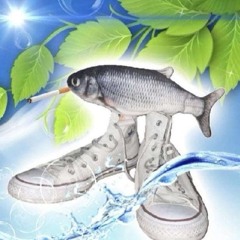 Tristanz00