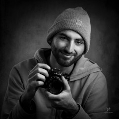 Robin D'Alesio