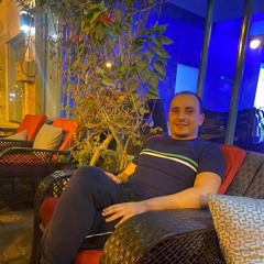 ahmed m amer