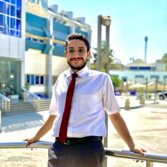shehab-eldin