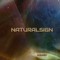 NATURALSIGN