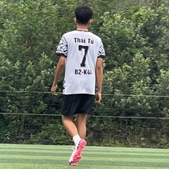 Nguyenthaituvip