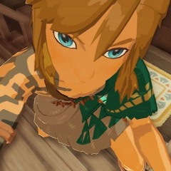 Evil Trans Wizard of Hyrule