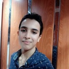 محمد الششتاوي