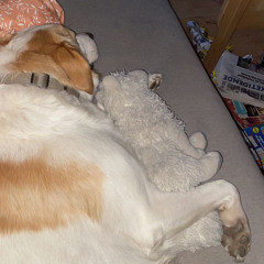 Grethe Helene rasmussen