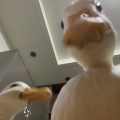 soda eiei