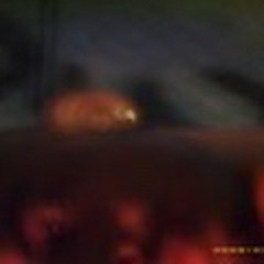 🔥LoC$tylE🔥🔥2024🔥