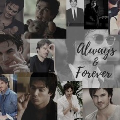 TheVampireDiariesLover