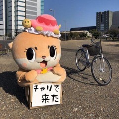 MisoP MisoS / MEGAnE SystemS