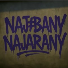 Żaluzja Solonez x BABAYAGA x LIMBØ - Karta Szczepień (alli.by.me)